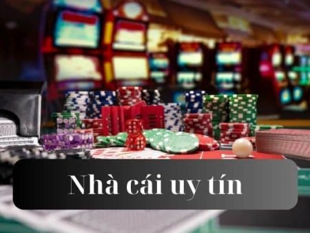 Đá gà 85bet uy tín Việt Nam